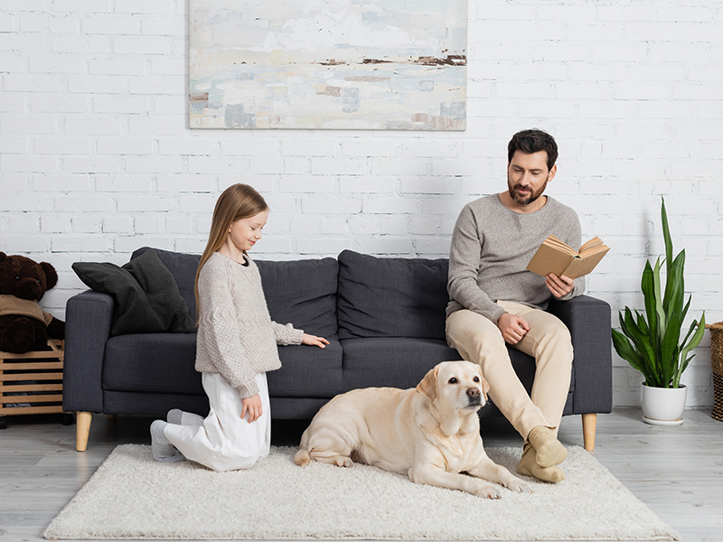 Hydroxyl Odor Elimination Professional Portland ME