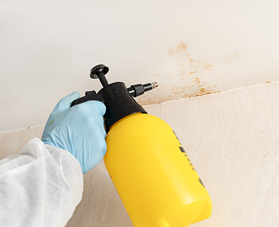 Mold Inspection and Remediation Portland ME