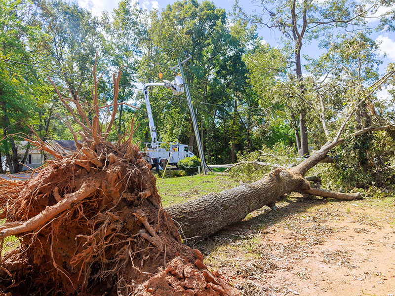 Storm Damage Restoration Cleanup Portland Maine