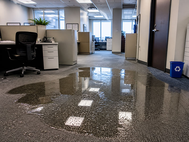 Water and Flood Restoration Services Falmouth ME