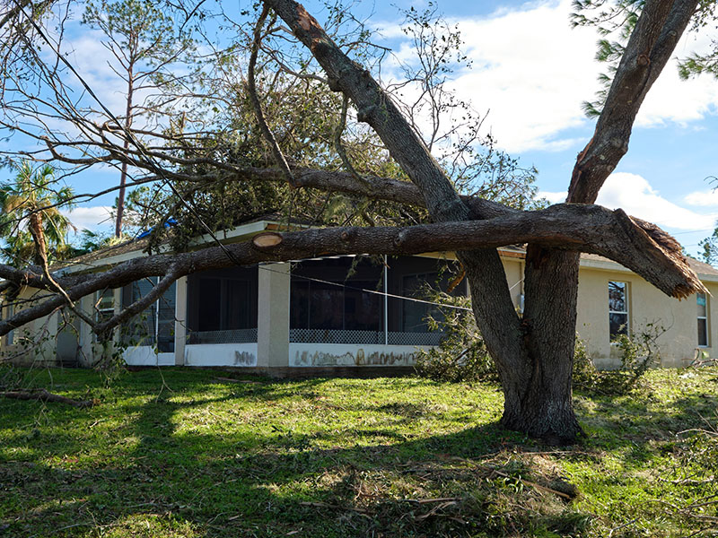 Water and Flood Restoration Services Windham Maine