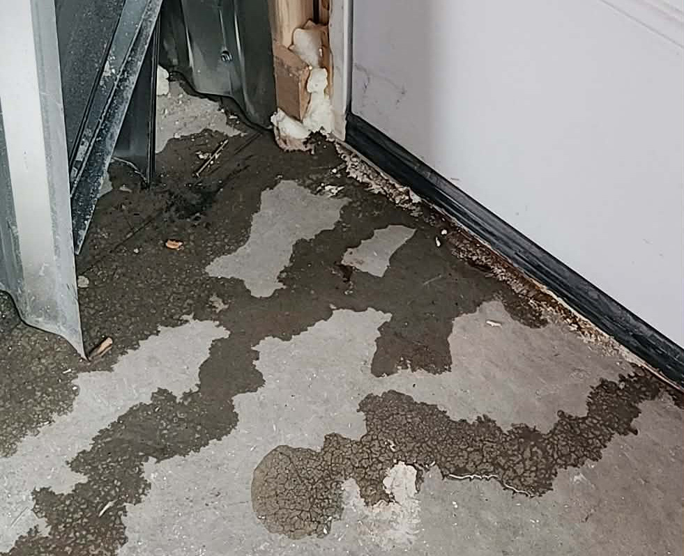 Water damage and damp flooring near a door threshold and wall trim
