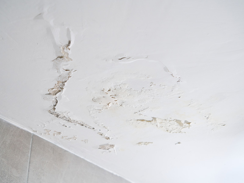 Water Mitigation Services Portland ME
